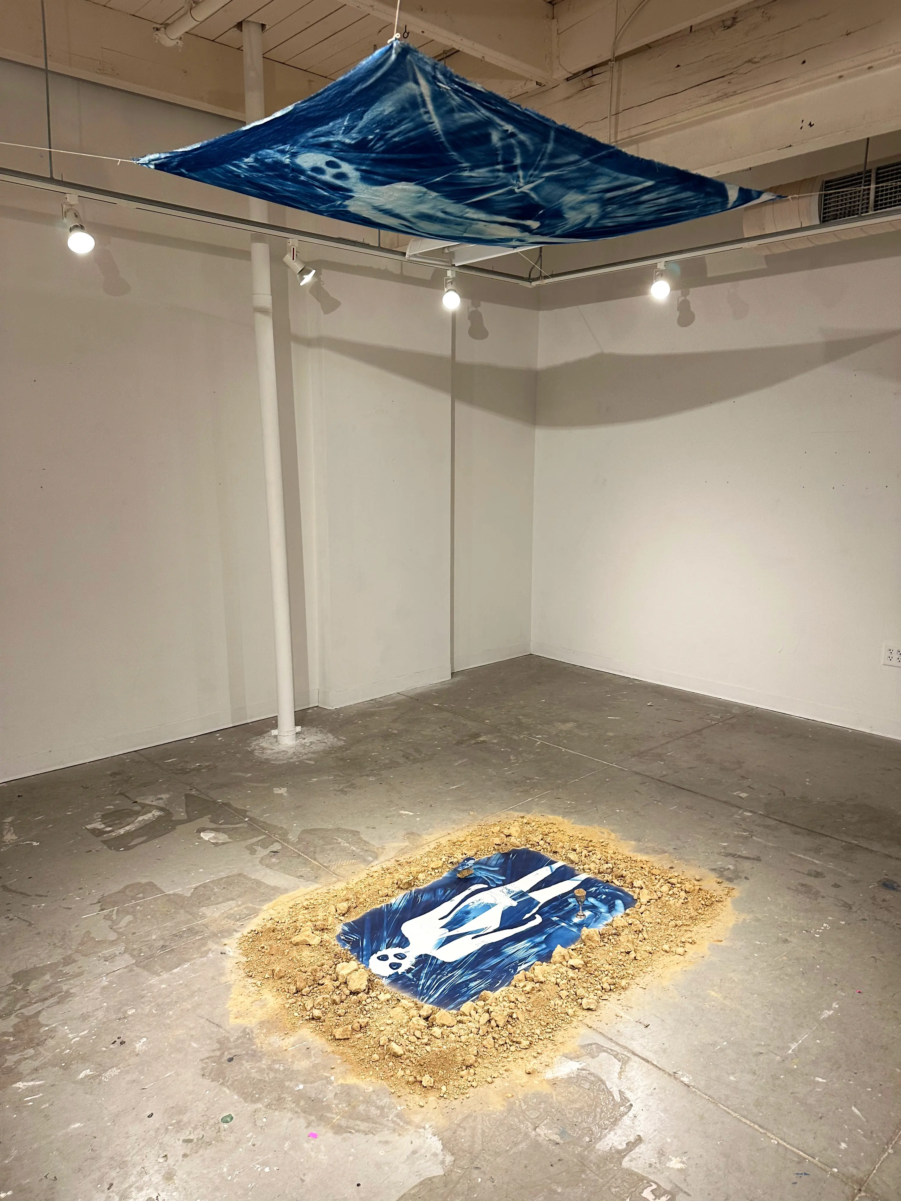 Cyanotype work by HI Green