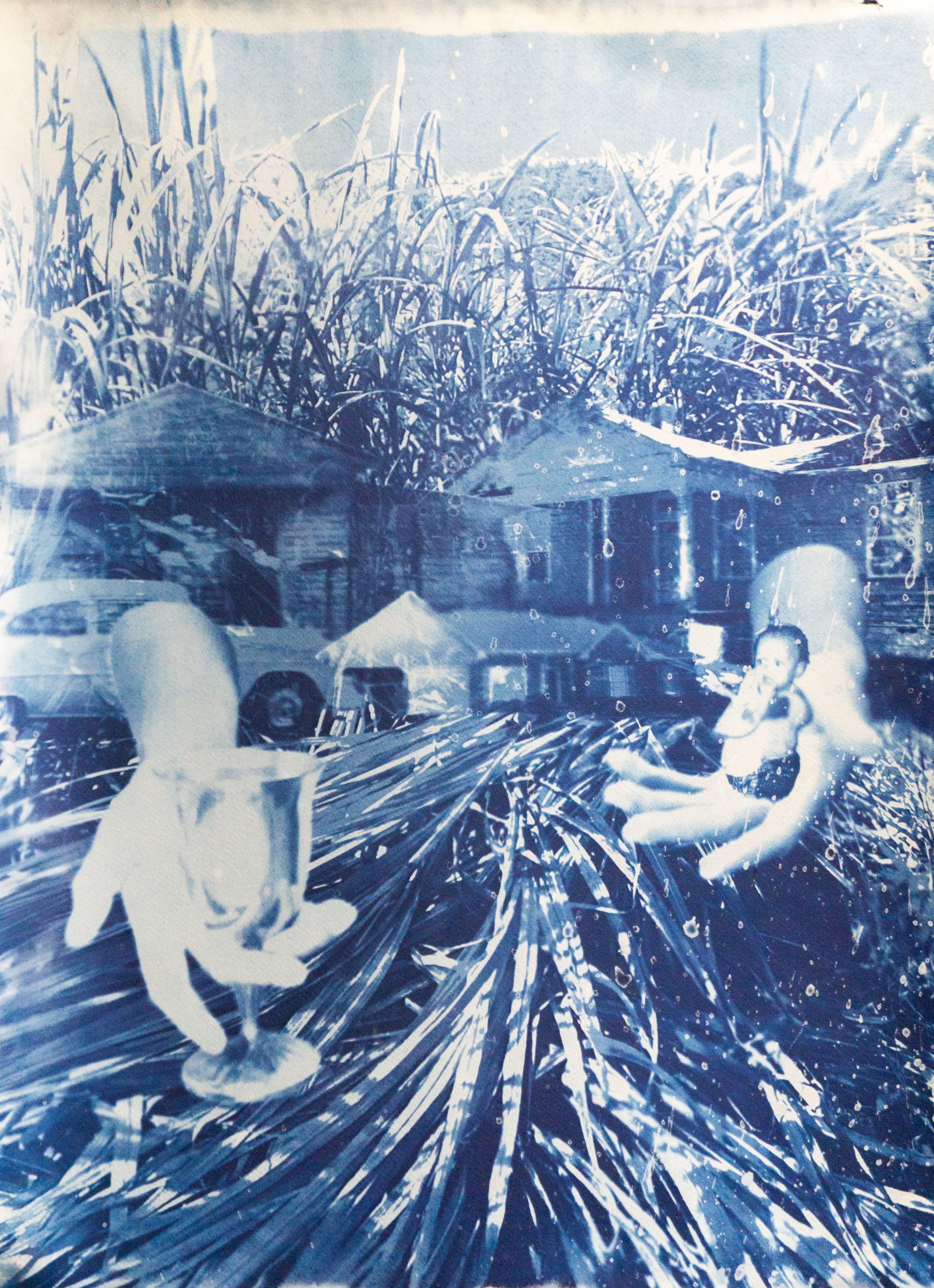 Cyanotype work by HI Green