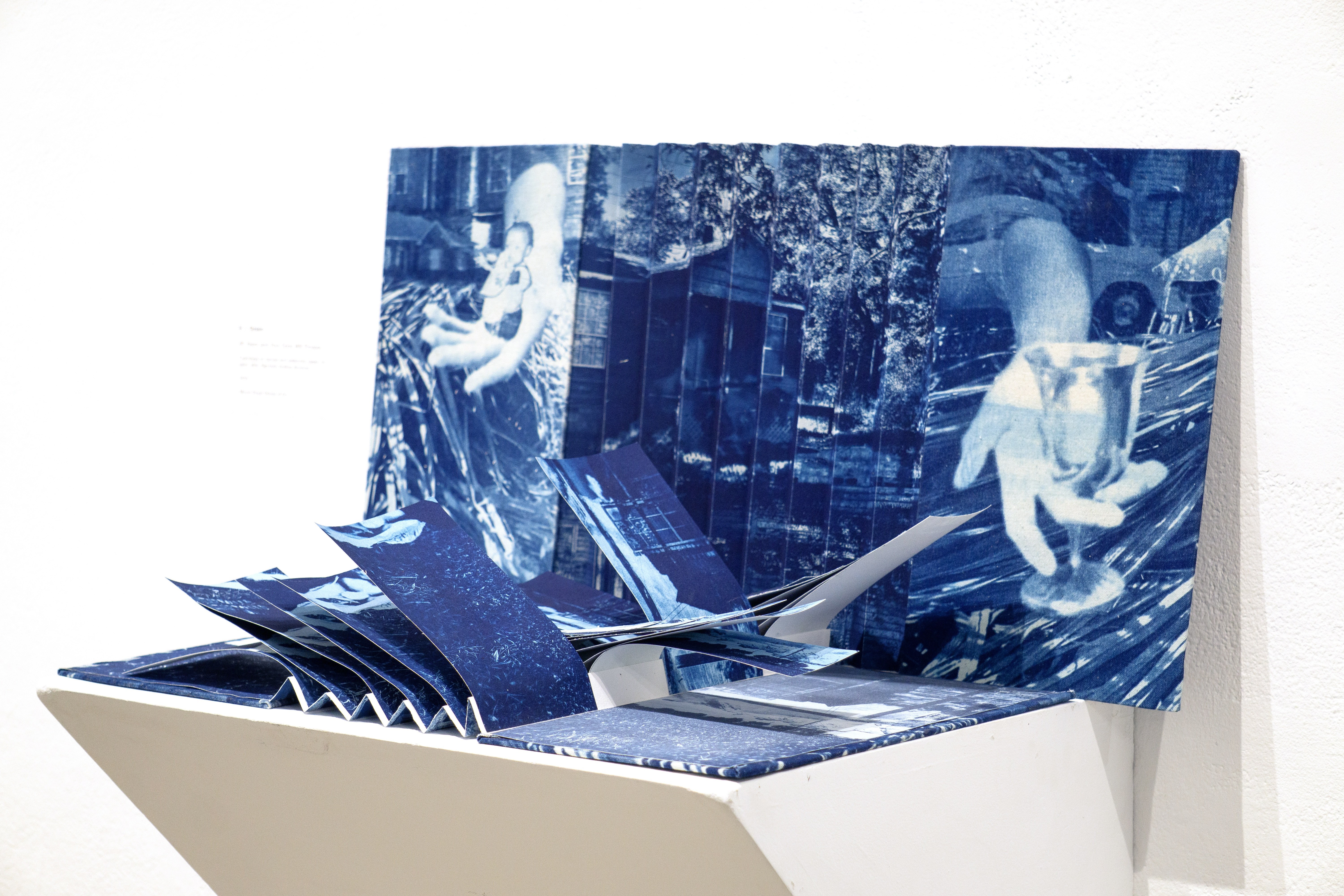 bookmaking: cyanotype book project